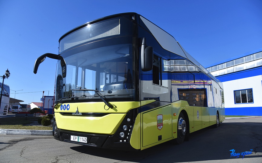 Автобус МАЗ 303